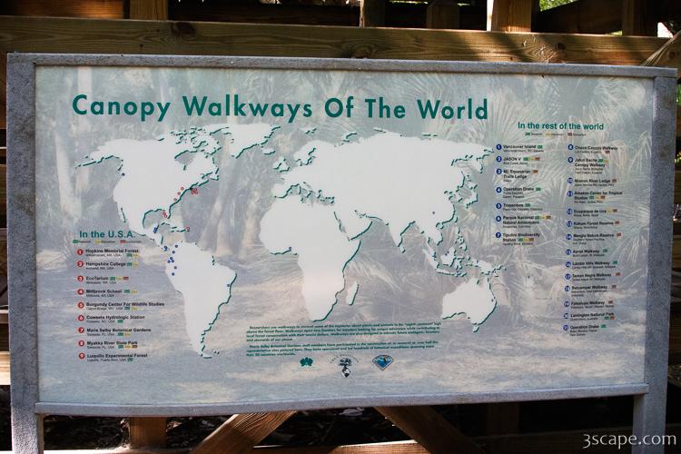 Canopy Walkways of the World