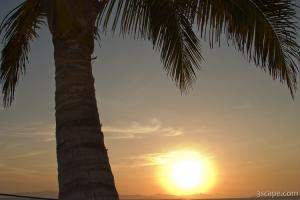 Sunset under the palm tree
