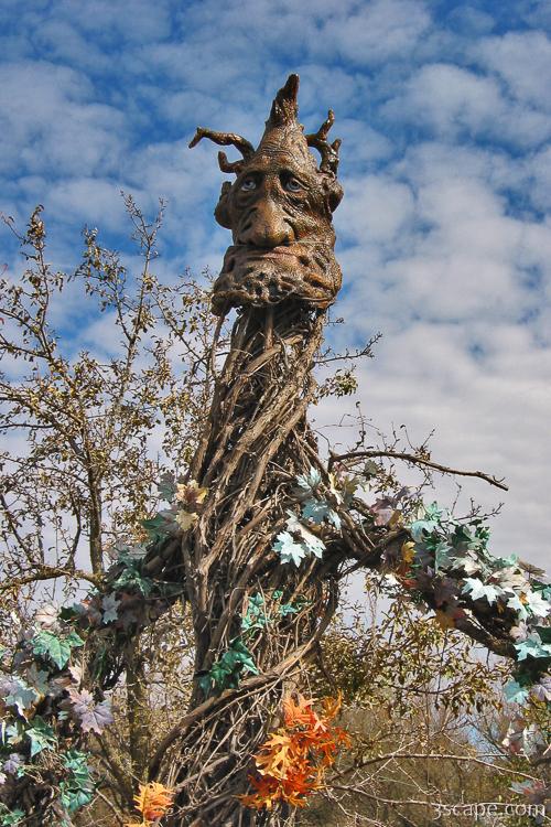 Tree Guy Photograph By Adam Romanowicz 