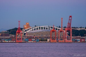 Lumen Field and Port of Seattle