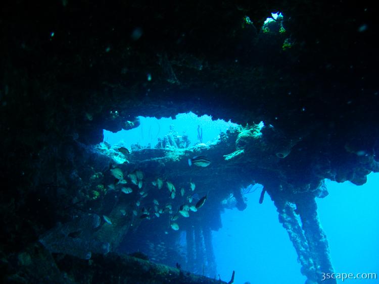 Inside the wreck