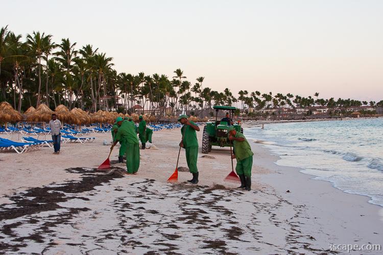 Resort workers cleaning seaweed off the beach
