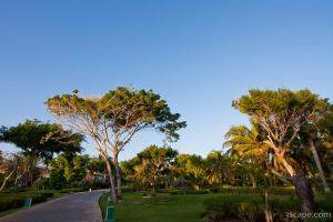 Melia Caribe landscaping