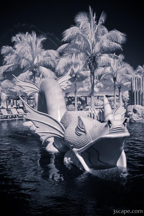 Infrared Dragon - the kids pool area