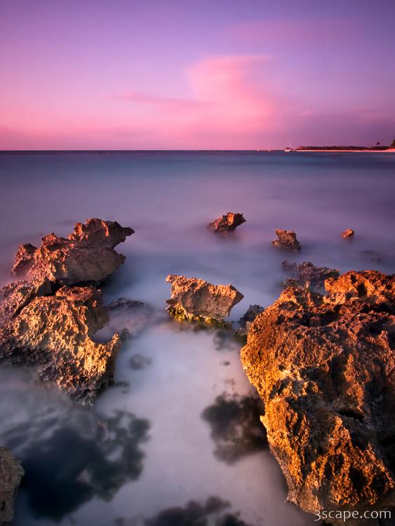 Dawn coloring the exposed ancient coral (ND110 filter)