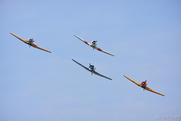North American T-6 Texans in formation