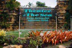 Theater of the Sea, Islamorada