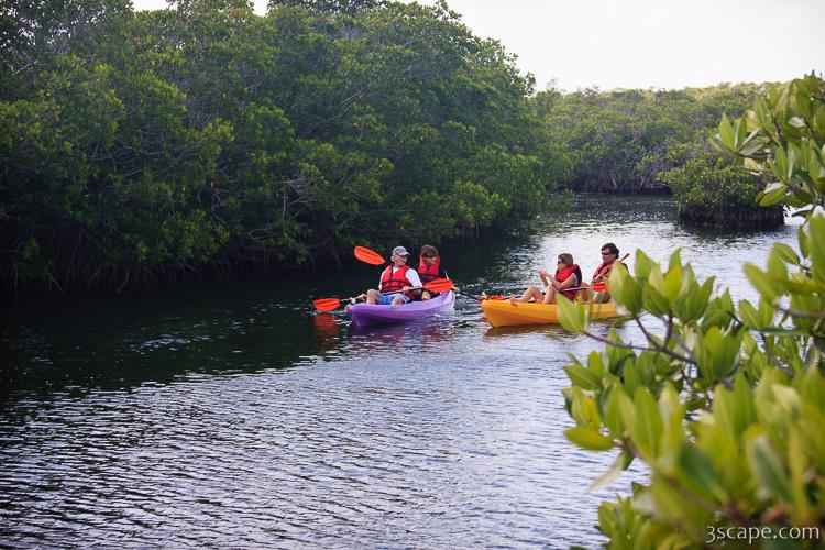 Kayaking in John Pennekamp State Park Photograph by Adam Romanowicz