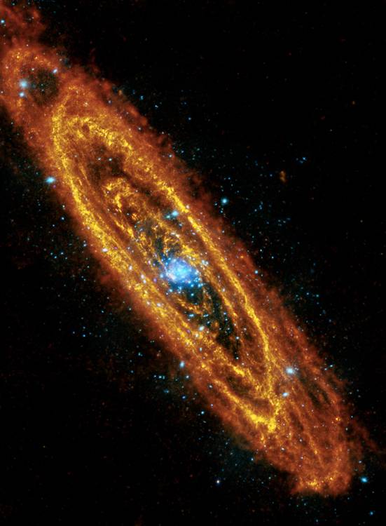 NASA and ESAs Hubble telescope captures stunning profile 