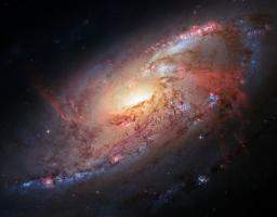 Hubble view of M 106