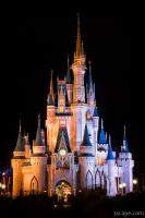 Cinderella's Castle and Partners statue at night