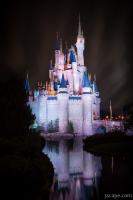 Cinderella's Castle Reflection