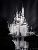 Cinderella's Castle Reflection Black and White