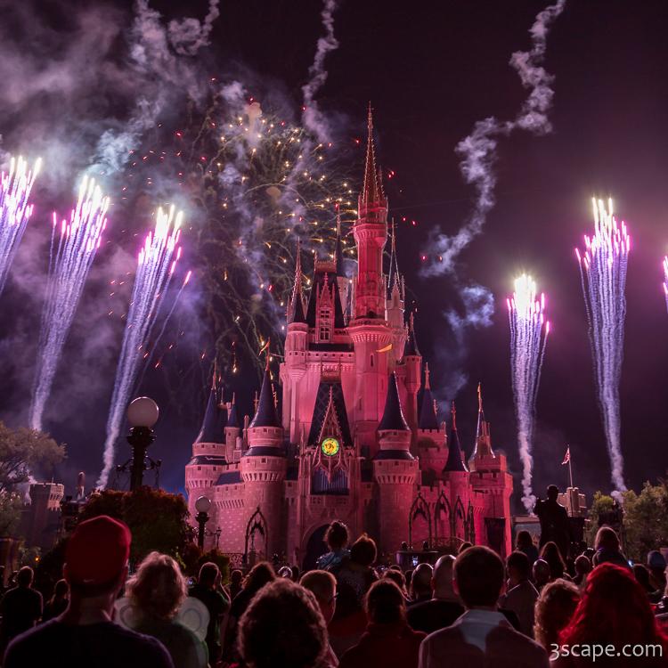 Cinderella's Castle with Fireworks