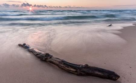 Lake Michigan Driftwood Framed Print