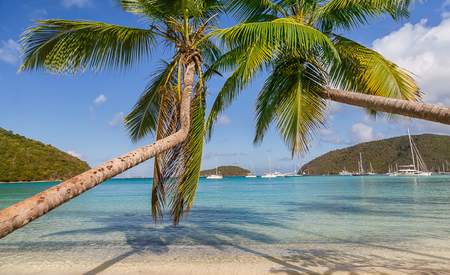 Maho Bay Sailboats Framed Print