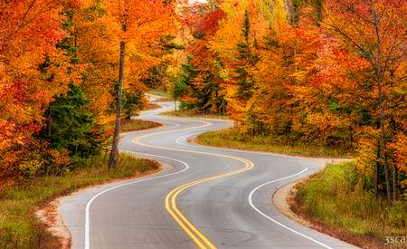 Jens Jensen Winding Road Panoramic Framed Print