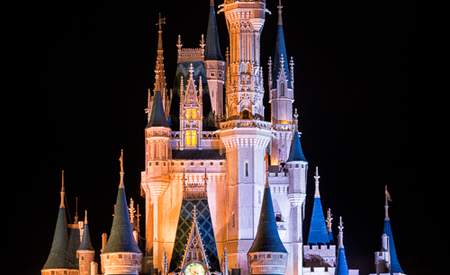 Cinderella's Castle and Partners statue at night Framed Print