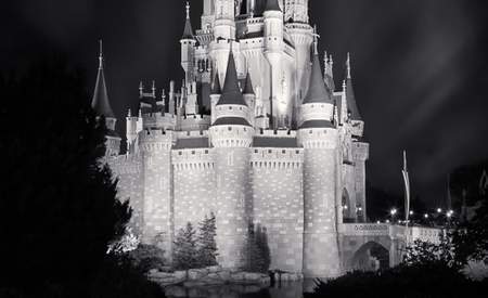 Cinderella's Castle Reflection Black and White Framed Print