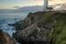 Previous Image: Pigeon Point Lighthouse at Sunset