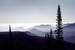 Next Image: Colorado Mountain Mist
