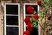 Previous Image: Window and Climbing Roses