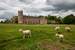 Previous Image: Sheep on Lacock Abbey Grounds