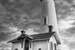 Next Image: Pigeon Point Lighthouse at Sunset BW