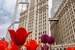 Next Image: Spring Tulips at Wrigley Building