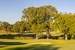 Previous Image: Bridges of Poplar Creek Country Club Panoramic