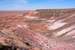 Next Image: The Painted Desert