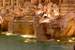 Next Image: Trevi Fountain