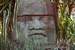 Previous Image: Giant Mayan head sculpture (Chankanaab Nature Park)
