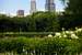 Previous Image: Sears Tower from Grant Park
