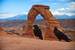 Next Image: Ravens visiting Delicate Arch