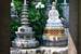 Next Image: Wat Prayun - Turtle Temple