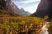 Next Image: Zion Canyon and Virgin River