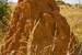 Next Image: Large termite mound