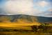 Previous Image: Ngorongoro Crater rim