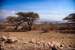 Next Image: Serengeti terrain changes