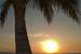 Next Image: Sunset under the palm tree