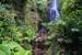 Next Image: 100 Foot Wailua Waterfall