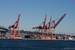 Next Image: Huge ship cranes in Port of Seattle