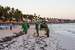 Previous Image: Resort workers cleaning seaweed off the beach