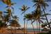Next Image: Punta Cana Cabanas and Palms