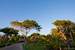 Next Image: Melia Caribe landscaping