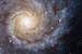 Previous Image: Spiral Galaxy M74