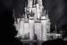 Next Image: Cinderella's Castle Reflection Black and White