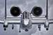 Previous Image: A-10 Thunderbolt II