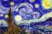 Next Image: The Starry Night Reimagined
